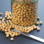 protein in seeds vs eggs