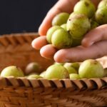 Amla antioxidant properties
