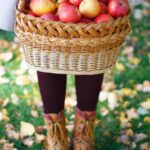 Apples fruits for diabetes