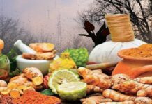 ఆయుర్వేద మార్గనిర్దేశనం: వర్షాకాలంలో ఆరోగ్యంగా ఉండడం ఎలా.? Ayurvedic guidelines to stay healthy in monsoon