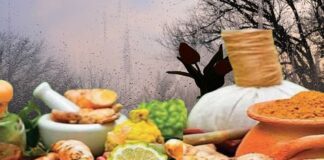 ఆయుర్వేద మార్గనిర్దేశనం: వర్షాకాలంలో ఆరోగ్యంగా ఉండడం ఎలా.? - Ayurvedic guidelines: How to stay healthy during monsoon? Ayurvedic guidelines to stay healthy in monsoon