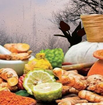 ఆయుర్వేద మార్గనిర్దేశనం: వర్షాకాలంలో ఆరోగ్యంగా ఉండడం ఎలా.? Ayurvedic guidelines to stay healthy in monsoon