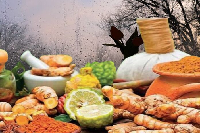Ayurvedic guidelines to stay healthy in monsoon