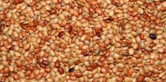 ఉలవలు: ఆరోగ్య ప్రయోజనాలు, ఉపయోగాలు, దుష్ప్రభావాలు - Horse Grams (Kulthi Dal): Nutrition, Health Benefits and Side Effects Benefits of Horse gram