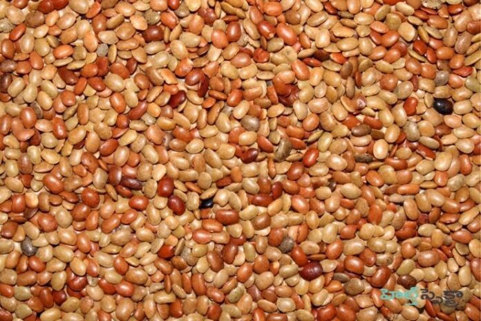Benefits of Horse gram