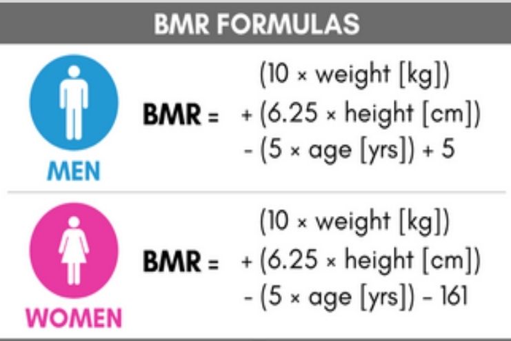Calculating Your Estimated Calorie Burn