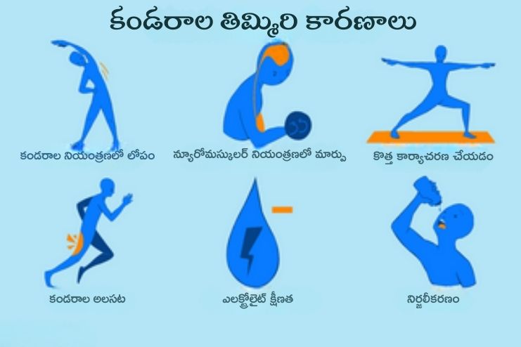 Causes of Leg cramps