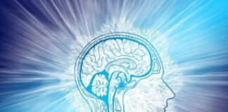 అరుదైన క్రాయిట్స్ ఫెల్ట్-జాకోబ్ వ్యాధి వస్తే మరణమేనా.? - The Ghost in the Brain: Decoding Creutzfeldt-Jakob Syndrome Creutzfeldt-Jakob Syndrom