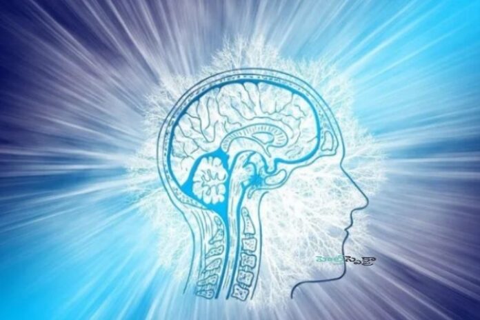 Creutzfeldt-Jakob Syndrom