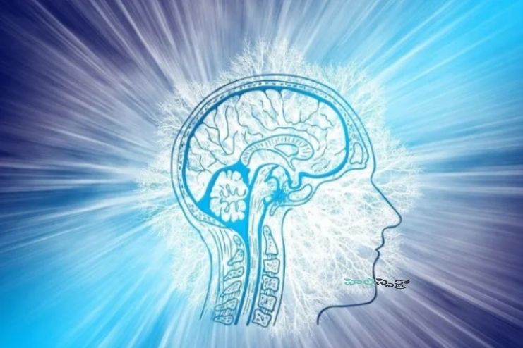 అరుదైన క్రాయిట్స్ ఫెల్ట్-జాకోబ్ వ్యాధి వస్తే మరణమేనా.? - <span class='sndtitle'></img>The Ghost in the Brain: Decoding Creutzfeldt-Jakob Syndrome </span>