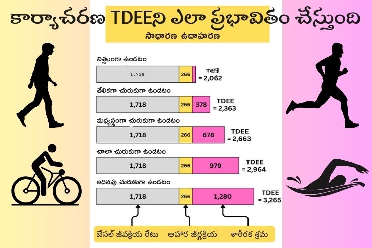 Factor in Your Activity Level to find TDEE