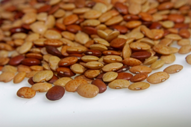 Horse gram benefits for Rainy Season