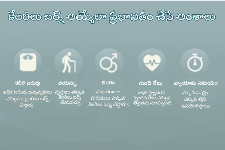 How Age and Gender Influence Calorie Burn