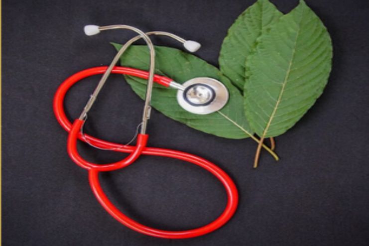 Is Kratom a Drug