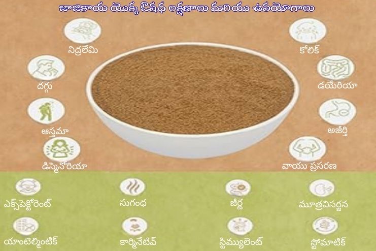 Medicinal Values of Nutmeg 2