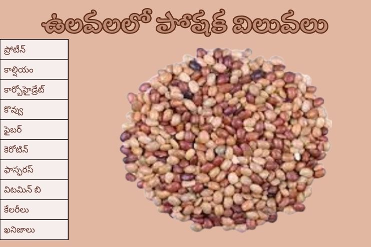 Nutritional Value of Horse Grams