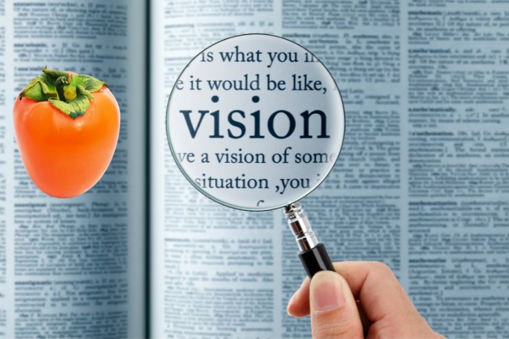 Persimmons may benefit vision