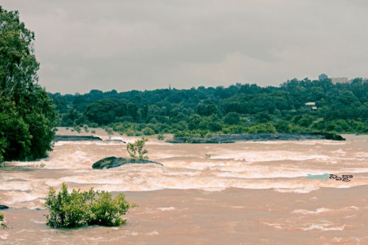 Polluted water during monsoon 2