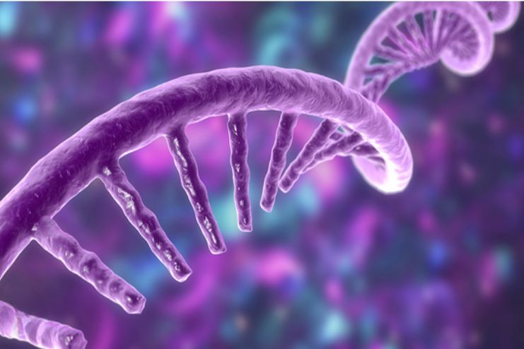 Prevention of Creutzfeldt-Jakob diseas