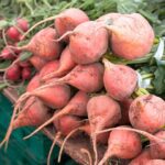 best root veggies