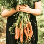 carrots for rainy season