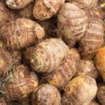 colocasia recipes