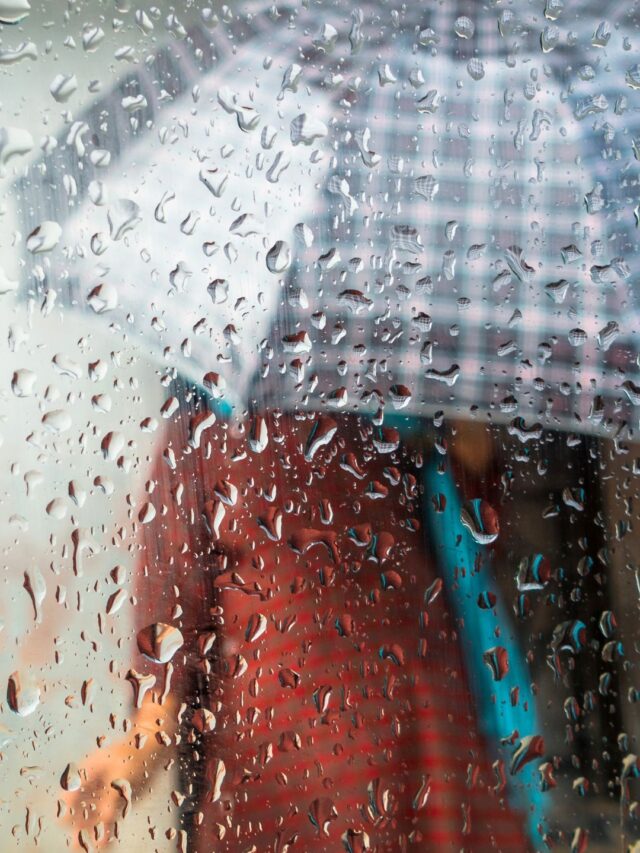 వర్షాకాలంలో ఎవరు ఎలాంటి వస్త్రాలను ధరించాలి?