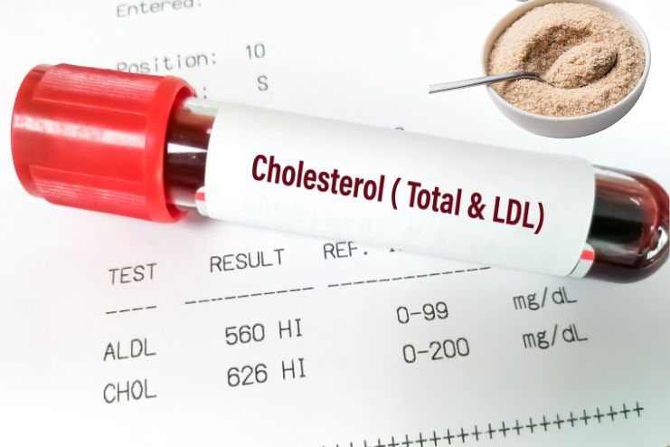 Benefits of Isabgol for High cholesterol