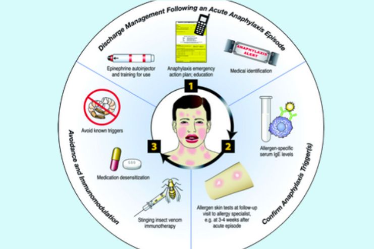 Biphasic anaphylaxis