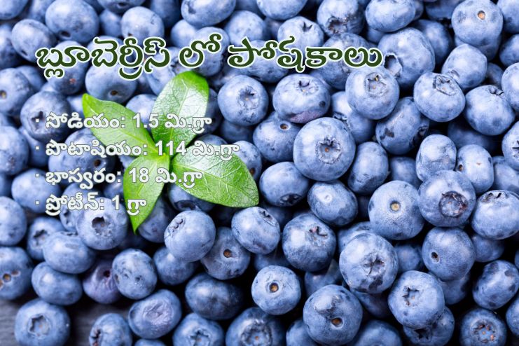 Blueberries