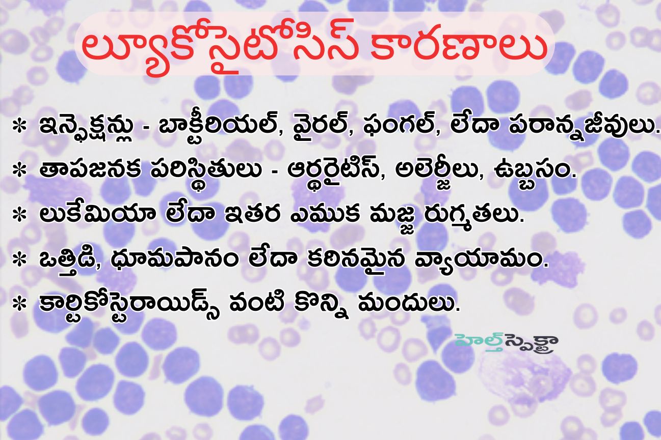 Causes of leukocytosis