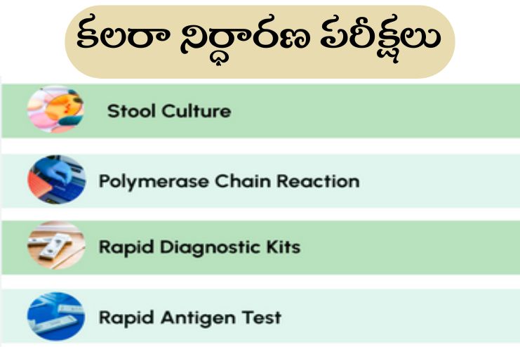 Diagnosis of Cholera