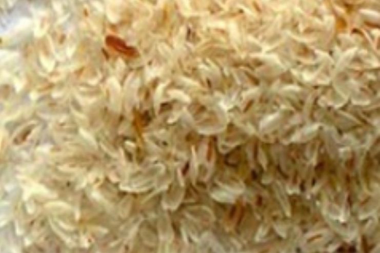 Isabgol 'Psyllium husk'