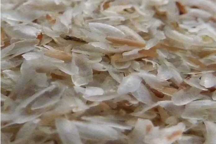 Isabgol_ Natural Solution for Digestive and Metabolic Health