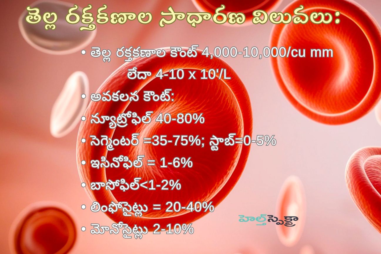 Normal range for WBC