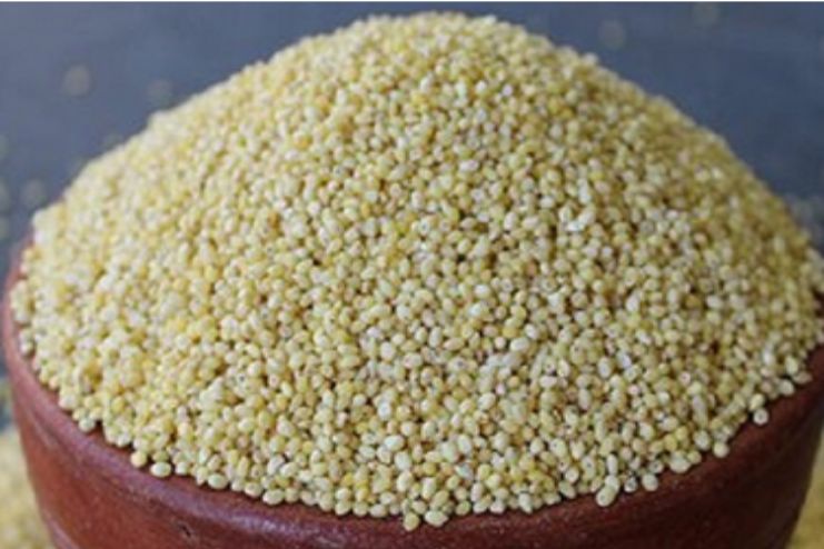 Nutritional Profile of Proso millet
