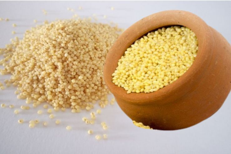 Proso millet Health Benefits