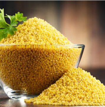 వరిగలు: పోషకాలు మరియు ఆరోగ్య ప్రయోజనాలు Proso millet_ Nutrition Facts and Health Benefits
