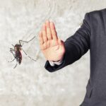 Protect Yourself from Mosquitoes This Monsoon