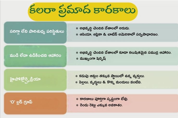 Risk factors of Cholera