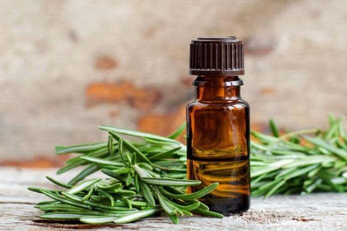 Rosemary Oil Health Benefits, Side Effects