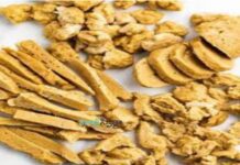 శాఖాహారుల మాంసాహారం తెలుసా.? కండలు పెంచే ‘సీటాన్’… Seitan_ Plant-Based Meat Alternative for Vegan