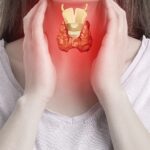 Supports thyroid function