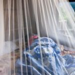 Use mosquito nets at night