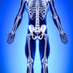 Weakens bones over time