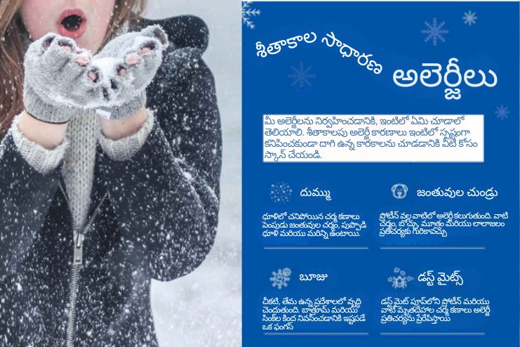 What are winter allergies