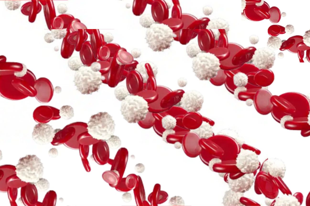 What happens if WBC increase