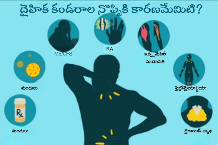 What medical conditions cause muscle pain