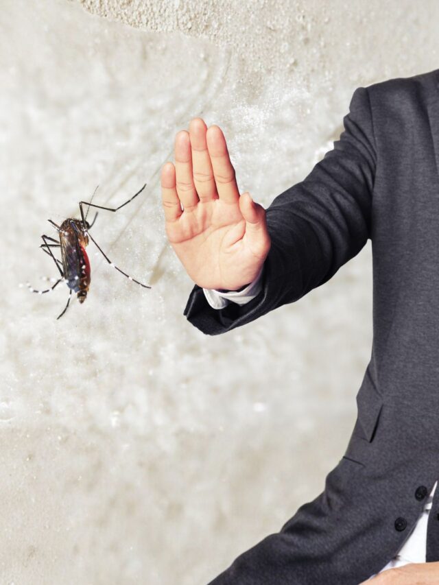 వర్షాకాలంలో దోమల నుండి మిమ్మల్ని మీరు రక్షించుకోండిలా!