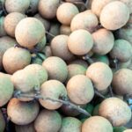 litchi